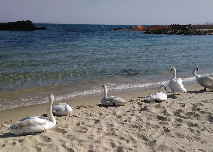 Apartment Kalin Complex Aurelia-ravda